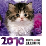 Mini Kittens 2010 (96 x 105 mm)