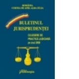 Culegere de practica judiciara pe anul 2008 - Curtea de Apel Alba Iulia