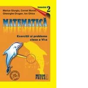Matematica. Exercitii si probleme. Clasa a VI-a, semestrul al II-lea 2009-2010