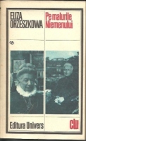 Pe malurile Niemenului
