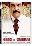 Prabusirea Casei Saddam