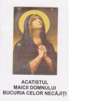 Acatistul Maicii Domnului - Bucuria celor necajiti