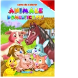 Animale domestice pui - carte de colorat (format A4)