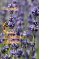 Puterea tamaduitoare a plantelor