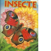 Insecte
