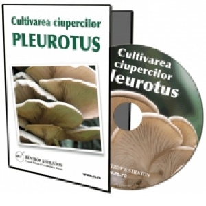 Afaceri la cheie pe CD - Cultivarea ciupercilor Pleurotus