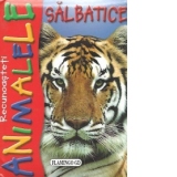 Recunoasteti animalele salbatice (album cu ilustratii - tigru)
