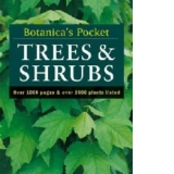 Trees and Shrubs