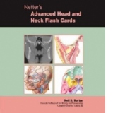 Netter Advanced Head and Neck Flash Cards