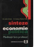 Sinteze de economie politica - Meditatii fara profesor