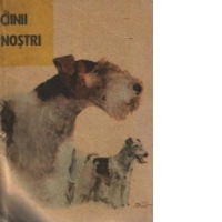Ciinii nostri - Buletin documentar nr. 1 / 1989