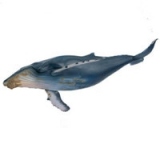 Animale marine (scara 1:32) : Balena cu cocoasa