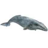 Animale marine (scara 1:32) : Balena gri