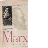 Tineretea lui Marx - roman