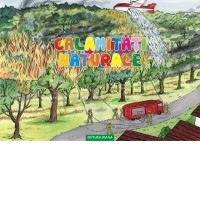 MAPA CALAMITATI NATURALE (4 PLANSE A3 DE LUX)