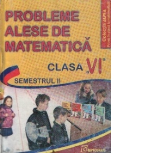 Probleme alese de matematica pentru clasa a VI-a, Semestrul II