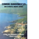 Comori duhovnicesti de la Muntele Athos