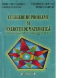 Culegere de probleme si exercitii de matematica pentru clasa a VII-a, Semestrul al II-lea