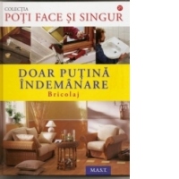DOAR PUTINA INDEMANARE: BRICOLAJ