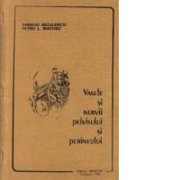 Vasele si nervii pelvisului si perineului