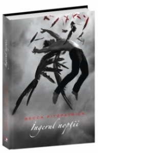 Ingerul noptii