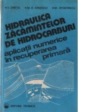 Hidraulica zacamintelor de hidrocarburi - Aplicatii numerice in recuperarea primara