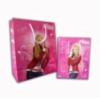 Punga cadou Disney marime XL (46 cm/ 33 cm) diverse modele