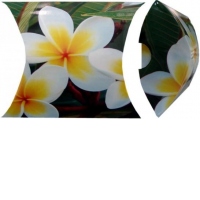 Punga cadou plic, marime S (7x10 cm), diverse modele