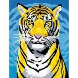 Set Colorat Tigru