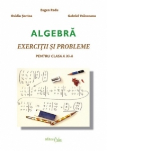 Algebra - Exercitii si probleme pentru clasa a XI-a