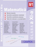 Matematica M1, Clasa a XI-a. Culegere de exercitii si probleme