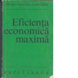 Eficienta economica maxima - Metode si modelare
