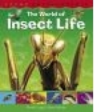 The World of Insect Life