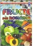 Fructe din Romania - Carte de colorat