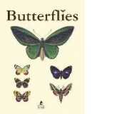 Butterflies/Schmetterlinge-editie bilingva