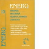 ENERG - Energie. Eficienta. Restructurare. Gestiune, Volumul al XIII-lea