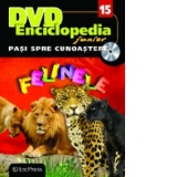 DVD Enciclopedia Junior nr. 15. Pasi spre cunoastere - Felinele (carte + DVD)