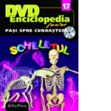 DVD Enciclopedia Junior nr. 17. Pasi spre cunoastere - Scheletul (carte + DVD)