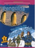 Penguins - The race to the South Pole