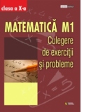 Matematica M1. Clasa a X-a. Culegere de exercitii si probleme