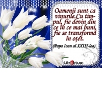 Card magnetic laminat (model 26) - Oamenii sunt ca vinurile. Cu timpul, fie devin din ce in ce mai buni, fie se transforma in otet. (Papa Ioan al XXIII-lea)