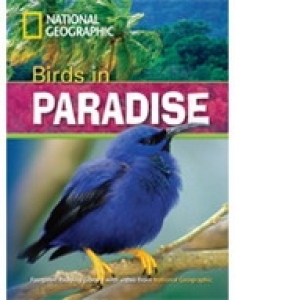 Birds In Paradise + DVD