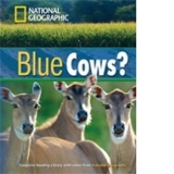 Blue Cows? + DVD