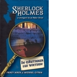 In cautarea lui Watson - seria Sherlock Holmes si strengarii de pe BakerStreet