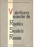 Valorificarea nisipurilor din Republica Socialista Romania