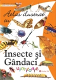 Atlas ilustrat cu insecte si gandaci uimitoare