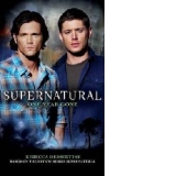 Supernatural One Year Gone