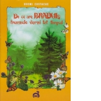 De ce are bradul frunzele verzi tot timpul