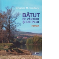 Batut de vanturi si de ploi