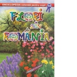 Flori din Romania - Carte de colorat